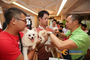東莞動(dòng)真格 犬只寄養(yǎng)立法，文明養(yǎng)犬再上“緊箍咒”