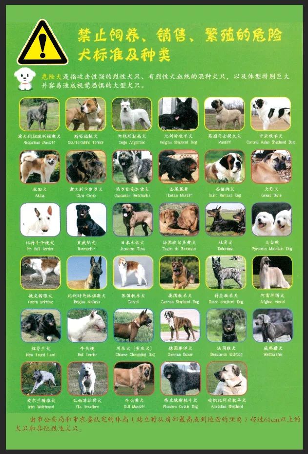 新規(guī)出臺！常州犬主注意，規(guī)范寄養(yǎng)守護(hù)愛犬健康安全