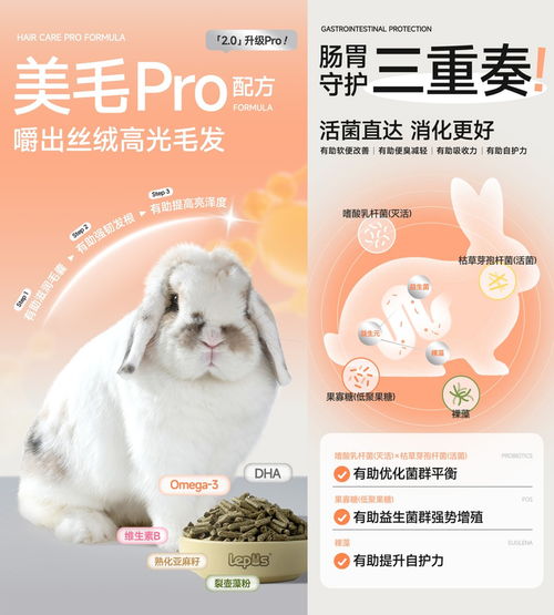 樂兔司 雙料認證與銷量第一的背后，開創性檢測鑄就犬只寄養品質標桿